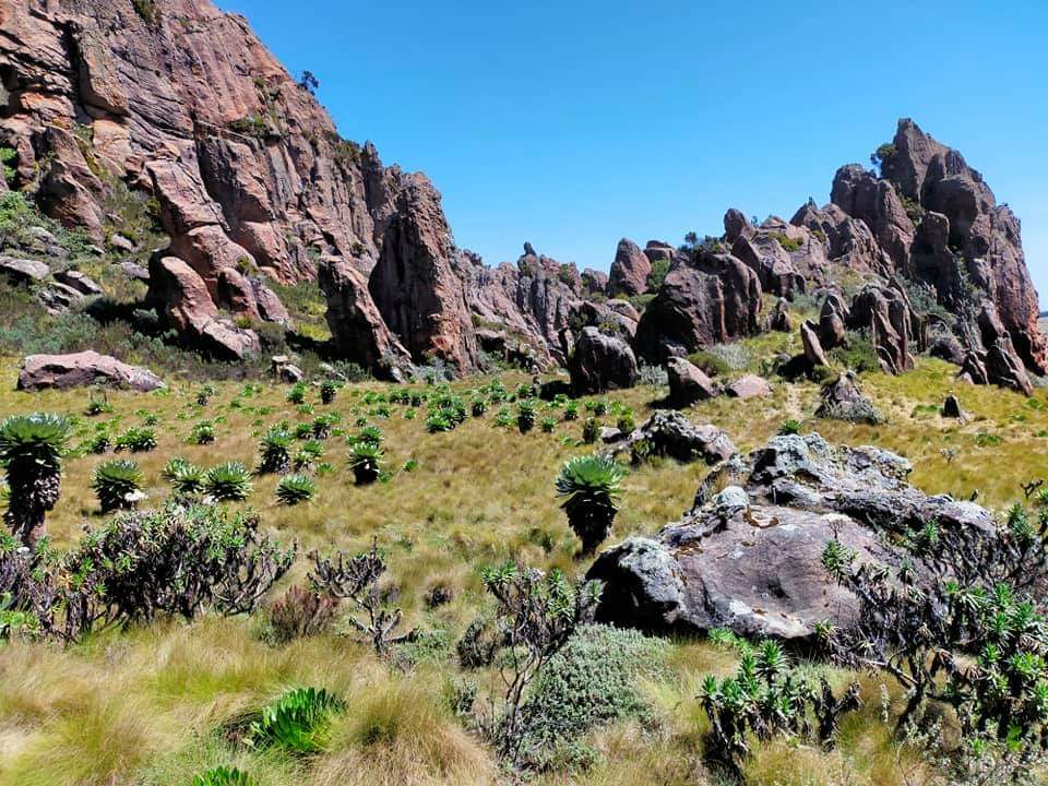 Mt Kenya